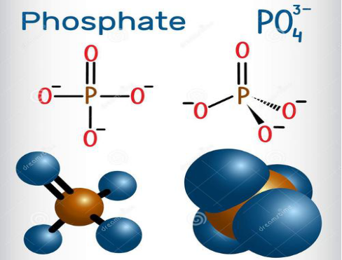 phosphate.png