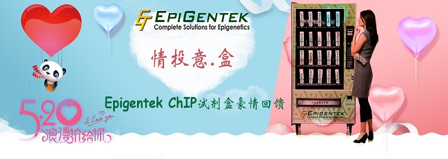 Epigentek-ChIP-banner.jpg
