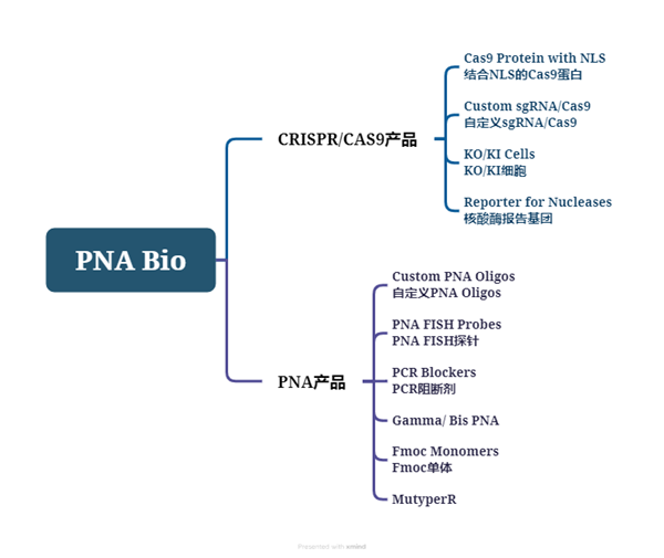 PNA Bio-1.png