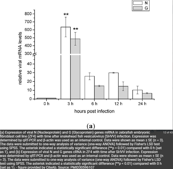 antibodies-online-5.png