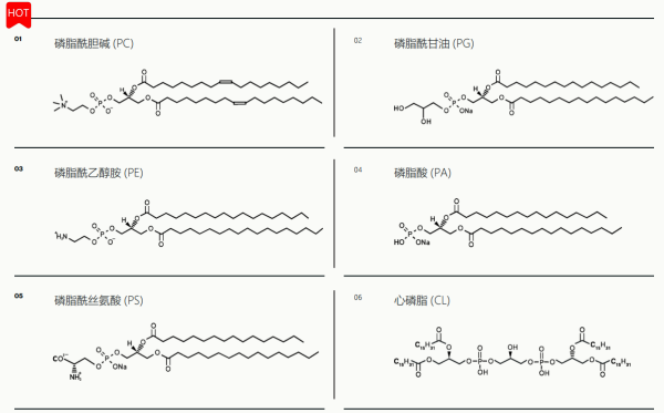 Echelon Biosciences-2.png