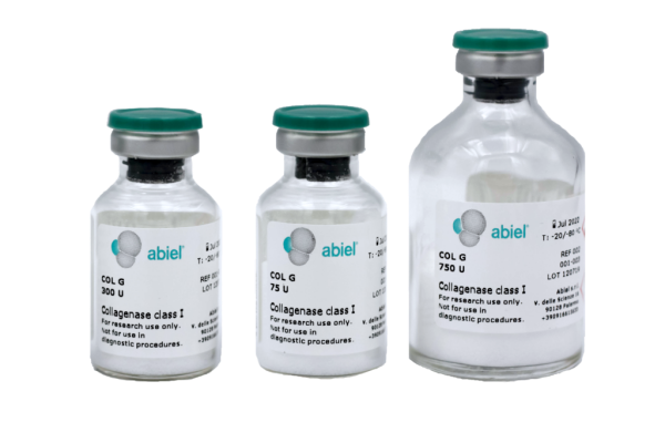 Abiel-1.png