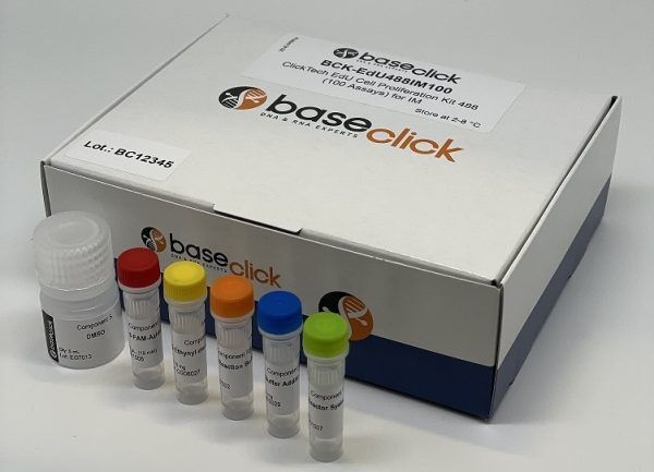 BaseClick-2.png