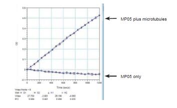 CS-MP05.jpg