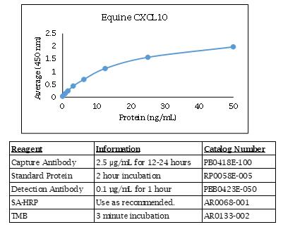 马 CXCL10 (IP-10) ELISA DIY 试剂盒