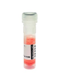 ARS-AS18-4195-1ml.jpg