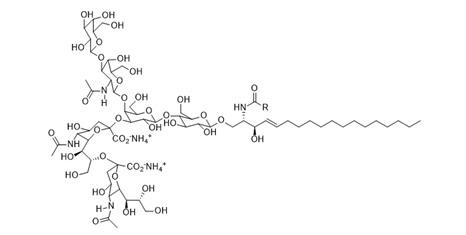 Disialoganglioside GD1b.png