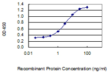 Sandwich ELISA.jpg