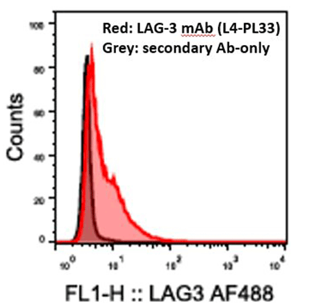 LAG-3（人）重组单克隆抗体（L4-PL33）（不含防腐剂）