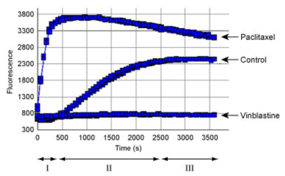 Tubulin聚合检测（荧光法-96assays 猪脑 tubulin）试剂盒