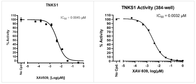 TNKS1（PARP5A）化学发光检测试剂盒