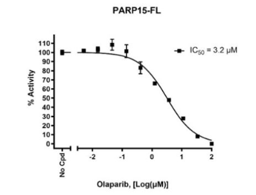 PARP15-FL化学发光检测试剂盒