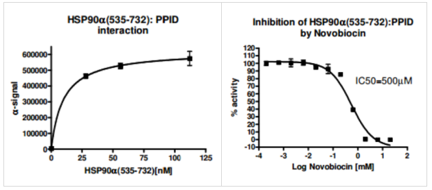 HSP90α（C-末端）抑制剂筛选检测试剂盒