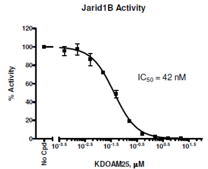 JARID1B (KDM5B) 化学发光检测试剂盒