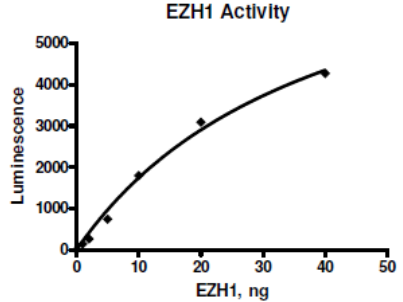 EZH1化学发光检测试剂盒