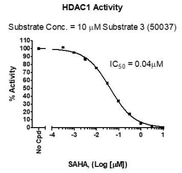 动力学HDAC1测定试剂盒