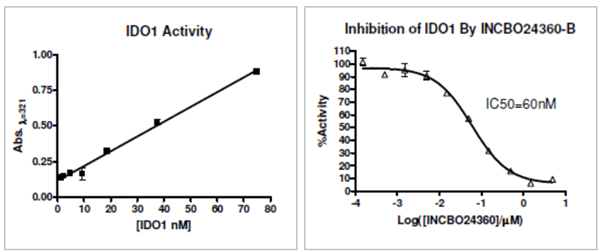 IDO1抑制剂筛选检测试剂盒