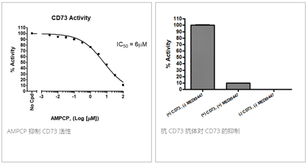 CD73 抑制剂筛选检测试剂盒