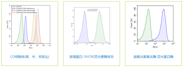 细胞系和原代细胞