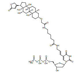 Digoxigenin-11-dUTP，地高辛/二硝基苯酚