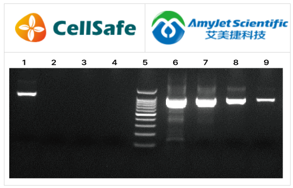 CellSafe