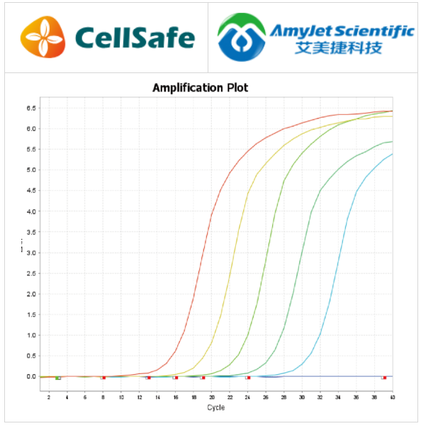 CellSafe