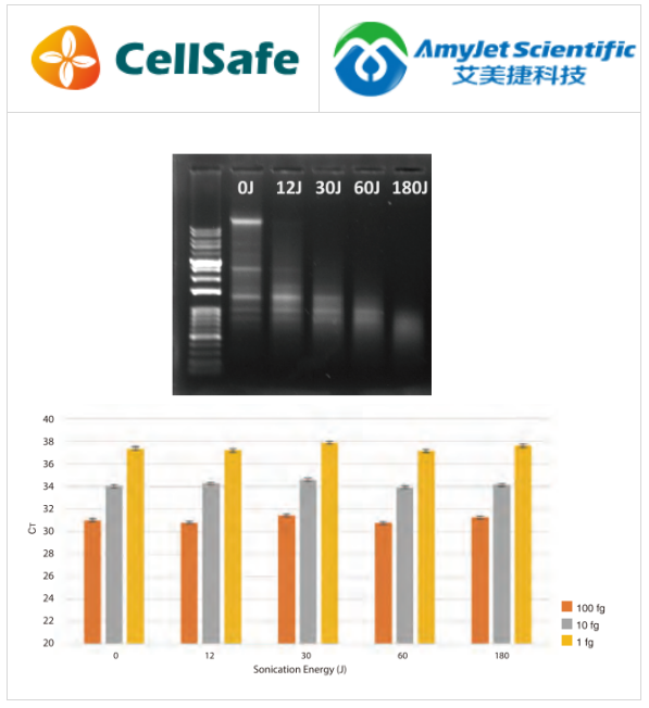 CellSafe