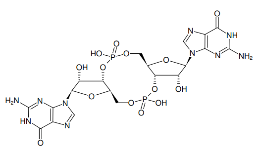 环二GMP（c-di-GMP）