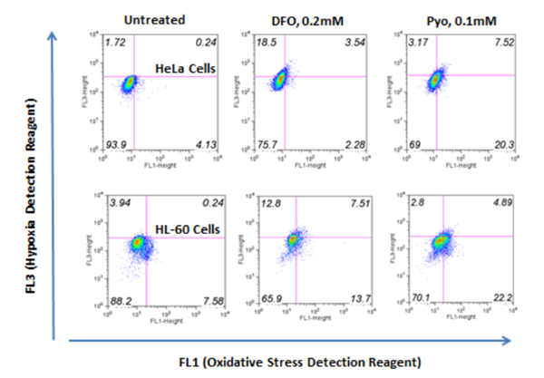 ROS-ID Hypoxia-2.png