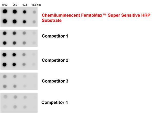 FemtoMax-1.png