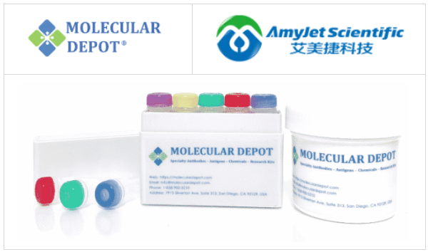 Molecular Depot