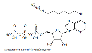 CLK-NU-003-1.png