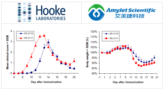 Hooke labs