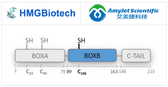 HMGBiotech