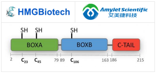 HMGBiotech