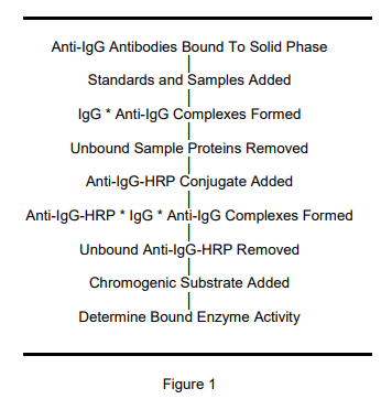 E-10GXSPP.png