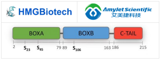 HMGBiotech