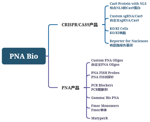 PNA Bio