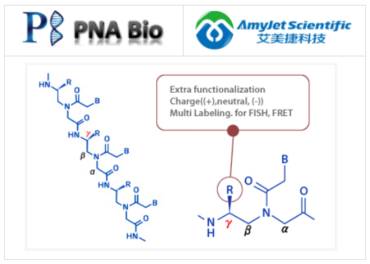 PNA Bio-gamma PNA