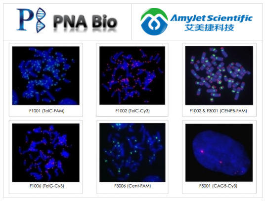 PNA Bio