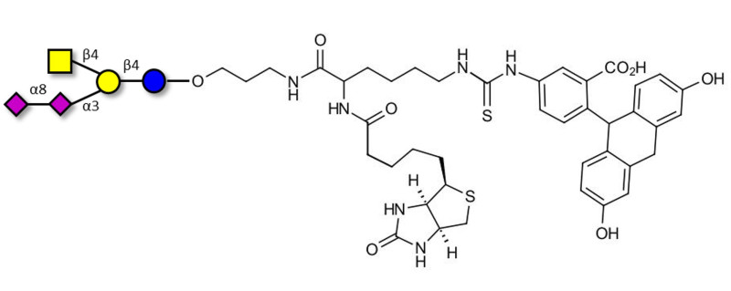 BT-FLUO-A.png