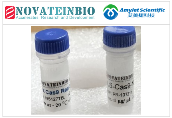 NLS-Cas9-NLS