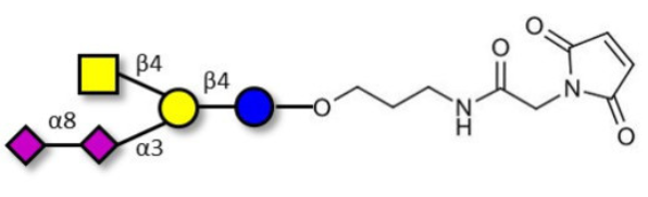 连接至马来酰亚胺的GD2神经节苷脂寡糖