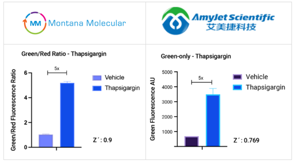 Montana Molecular