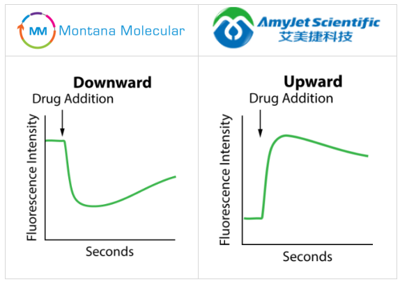 Montana Molecular