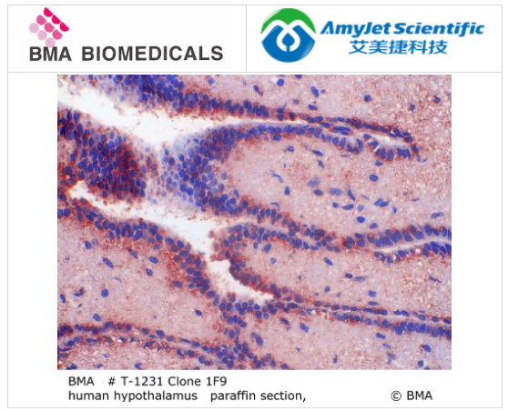 BMA Biomedicals