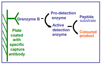 QuickZyme Biosciences