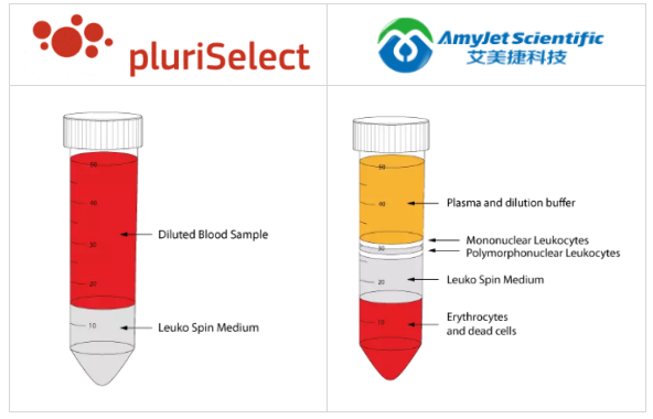 Leuko Spin Medium