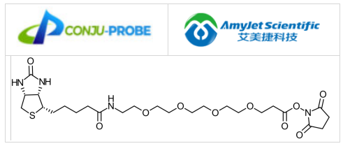 Conju-Probe,Biotin-PEG4-NHS ester