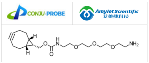 BCN-PEG3-amine (endo)